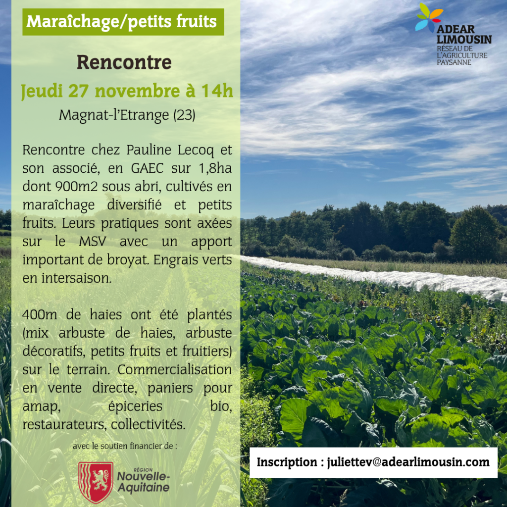 Flyer_Magnat_l'Etrange